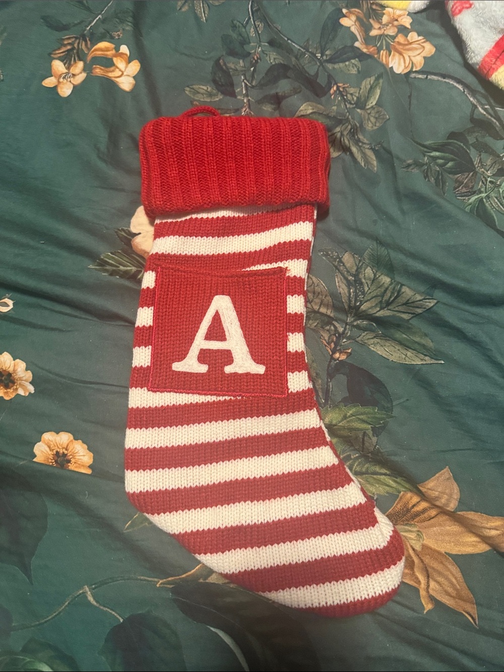 Threshold Red and White Striped Holiday Stocking with Initial A